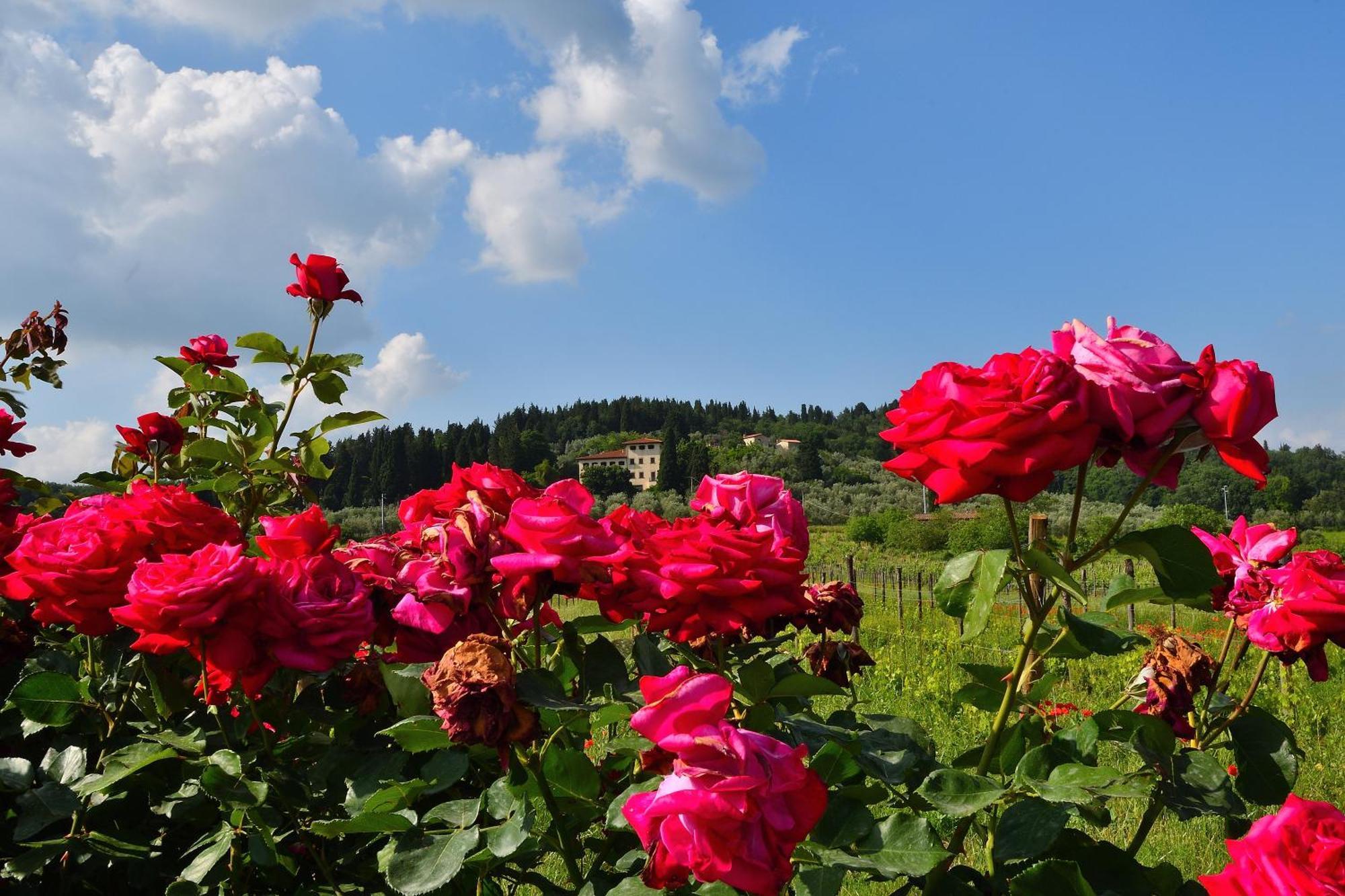 Villa Silvia Rignano sull'Arno Buitenkant foto